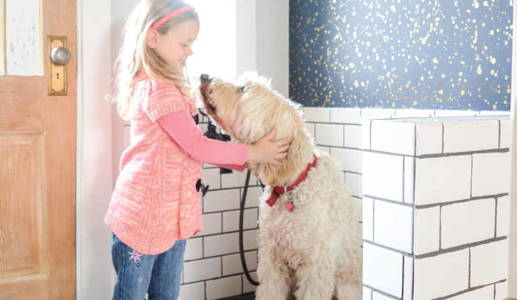 Create a perfect dog washing area at home. Simplify bath time for you and your pet. Find location, height, and comfort tips here!