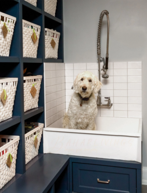 Designing Your Dog Bathing Area