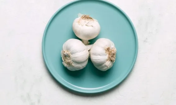 7 0 9 12 Top Indoor vegetable plants to Grow Now: Garlic