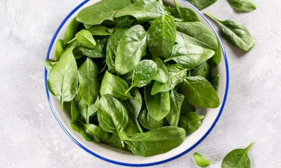 12 Top Vegetable Varieties to Grow Now: Spinach