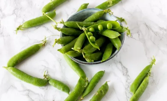 9 0 9 12 Top Indoor vegetable plants to Grow Now: Peas