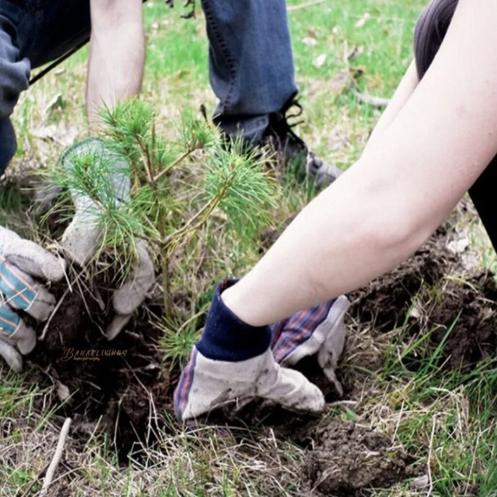 Easy Gardening Tips and Ideas Easy Gardening Tips and Ideas