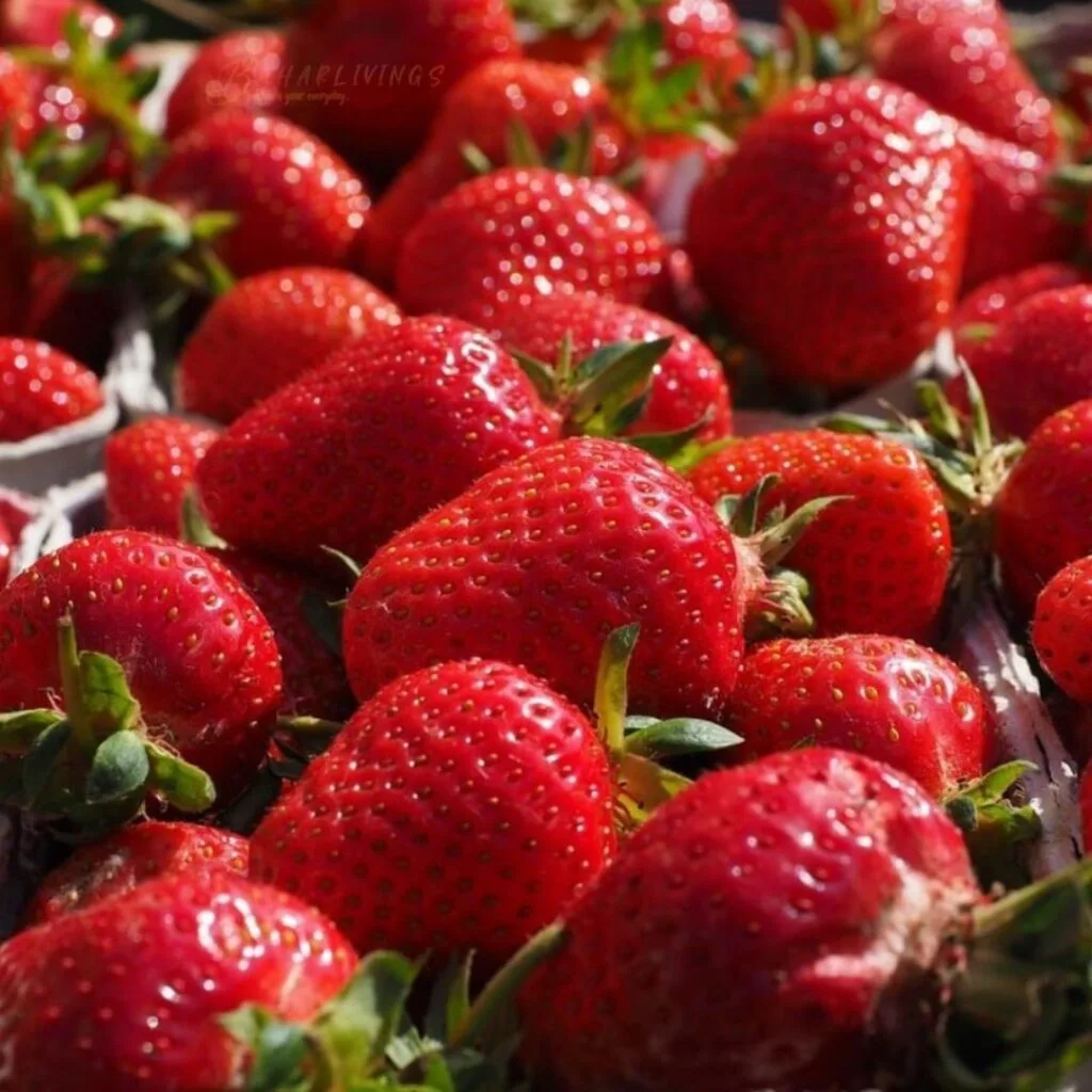 Strawberries Strawberries